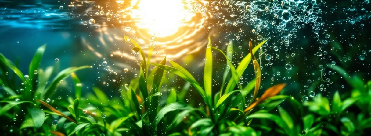 Bewegte, lichtdurchflutete Wasseroberfläche über Aquarienpflanzen